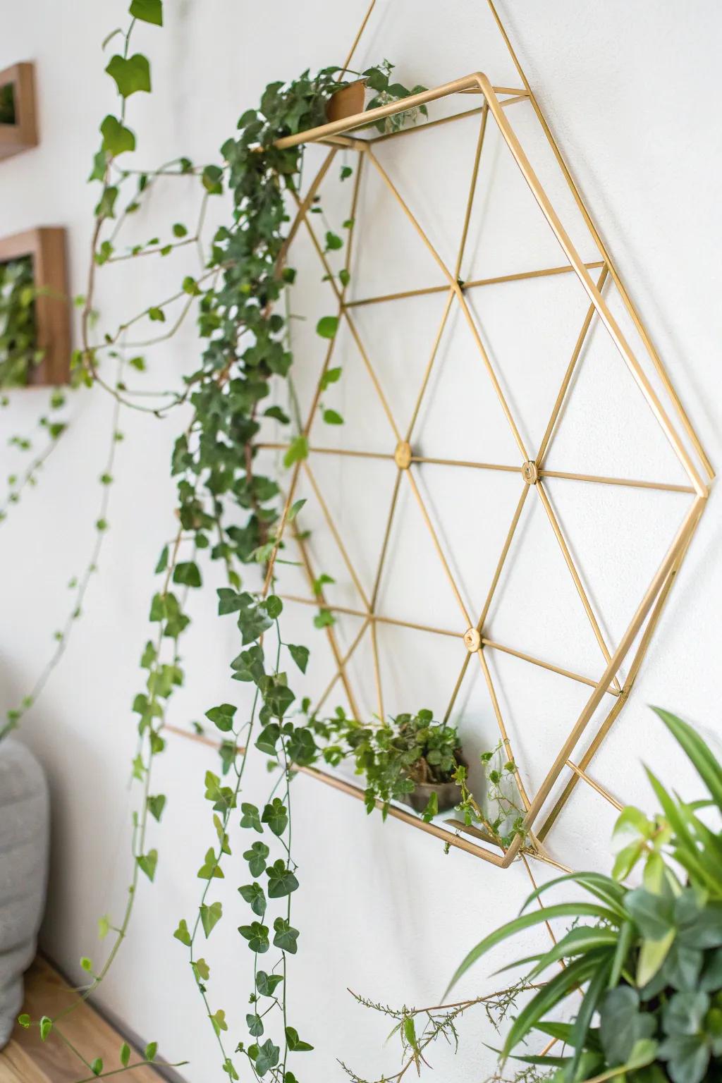 Transform your living space with a chic geometric metal trellis – a perfect blend of modern artistry and natural beauty.