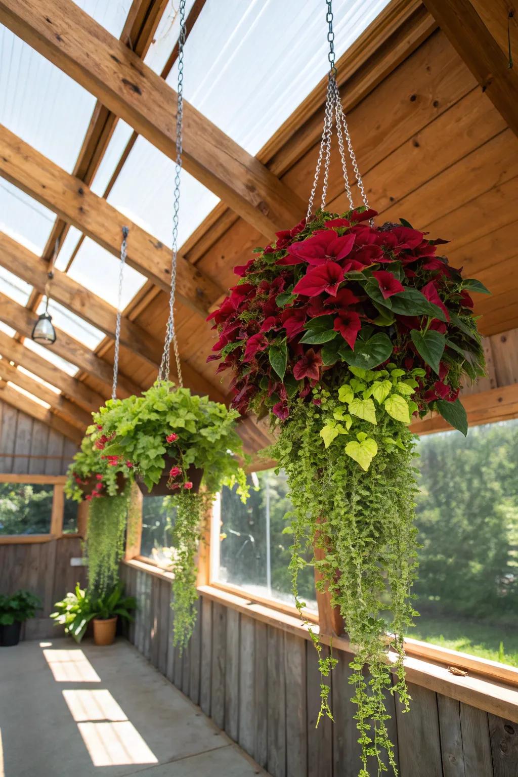 Elevate your garage greenhouse with a stunning hanging garden that combines craftsmanship and nature's beauty.