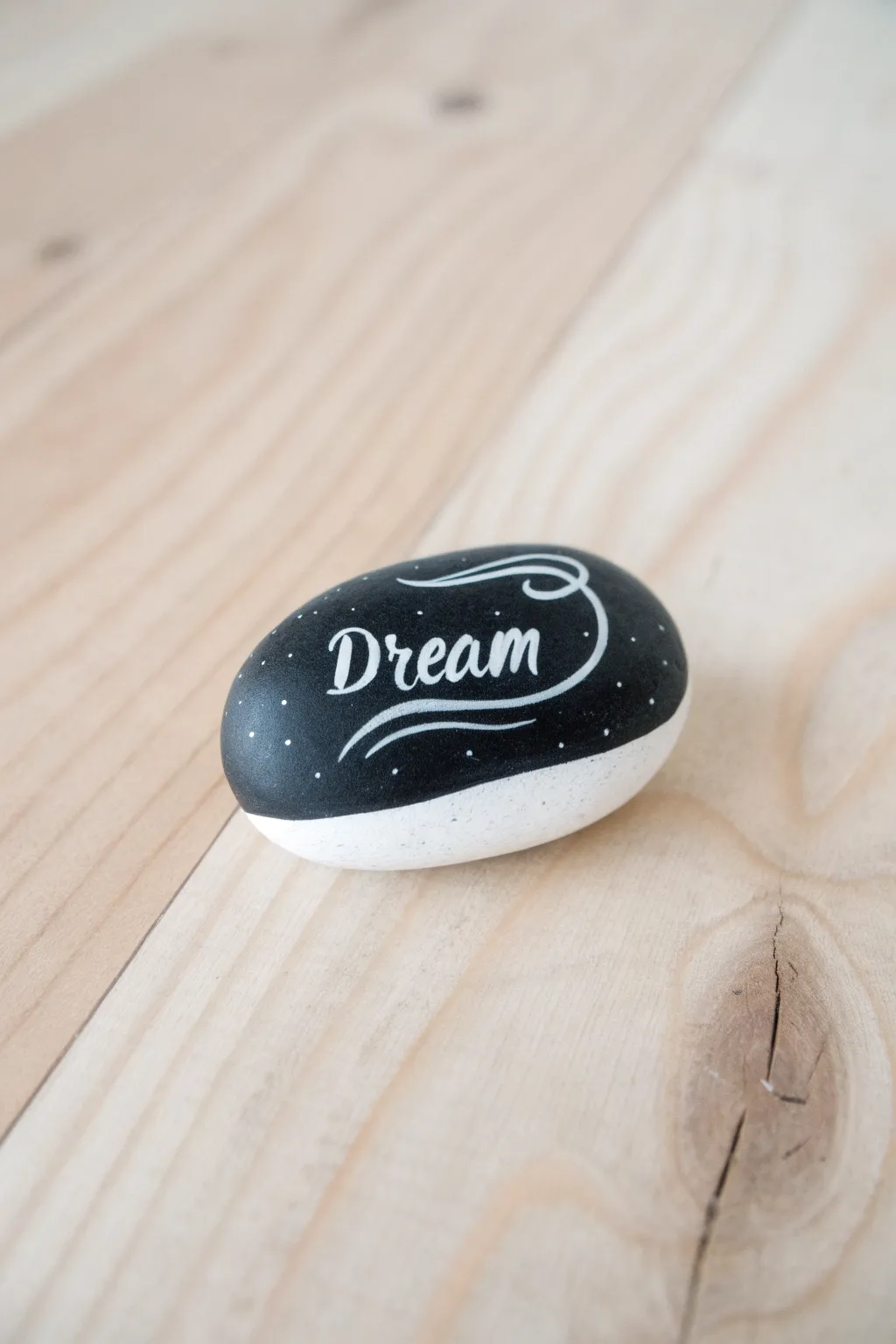 20+ Creative Black & White Rock Painting Ideas